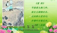 表示重阳节的诗句