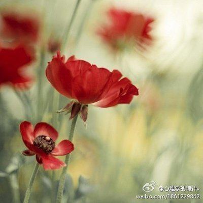 我希望所有的期望和祝福都会传给您