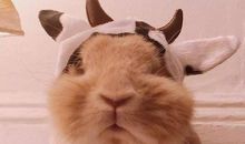 形容累后开心的句子