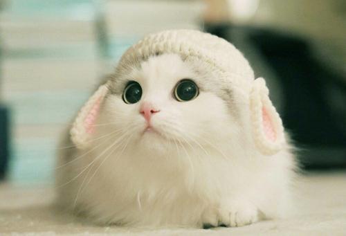 编辑编了一些关于永远祝你幸福的句子