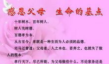 感恩父母的格言