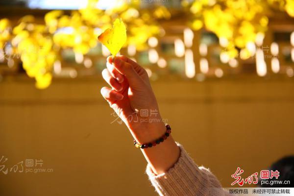 幸福是麻烦的替代品