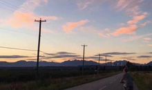 工作上对领导失望的句子