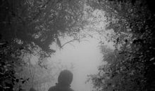 我对女朋友失望的句子