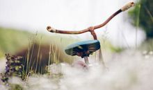 对公司发展失望的句子