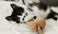 让人开心的搞笑句子