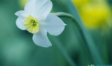 断舍离最经典的一句话