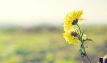 天气冷问候女孩短信