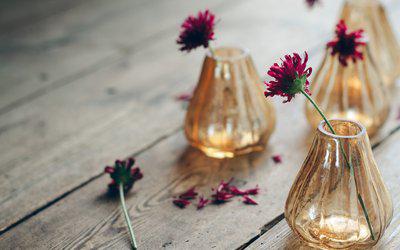 可以在没有帮助的情况下度过一天