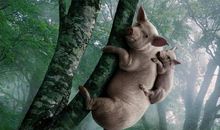 搞笑句子越短越好