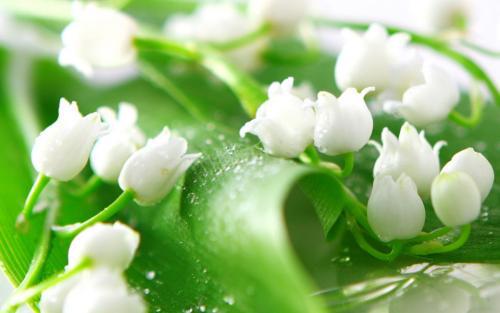 让我们看一下编辑所写的有关撰写家庭评论和歌词的句子