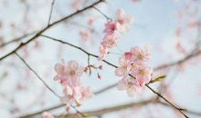 人生哲理的诗句