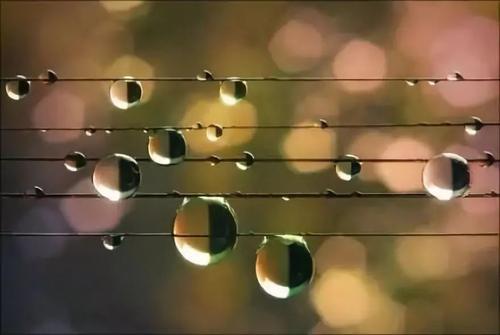 会有人查看您所写的所有州