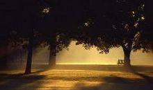 形容对公婆失望的句子