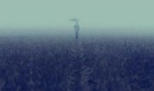 关于爱情的句子伤感：多少人说不能没有你，后来他们在哪里