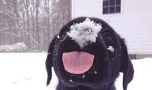 关于七夕的笑话段子 七夕内涵说说大全