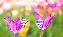 早上起来心烦的句子