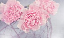 2020抖音精神小伙语录 抖音最火精神小伙句子