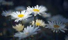 心情说说感悟生活经典