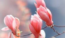 一个人心静的忧伤句子