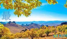 最新给男朋友的暖心话