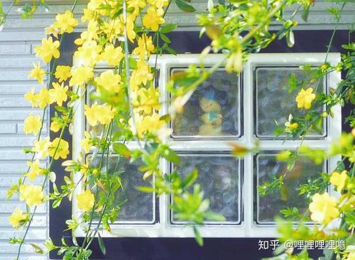 世界上的生活就像荆棘丛中