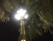 许多人渴望拥有一个真正的情人