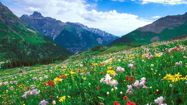  sing English We are happy 说英语