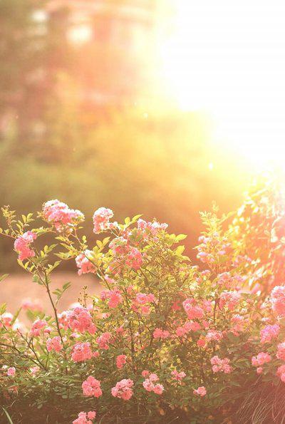 当您抬头望着蓝天