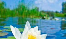 描写打球开心的句子