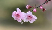 开心又正能量的句子