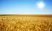 最精辟的人生格言