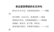 表达爱国感情的诗句有