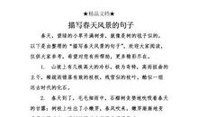 淡淡的风景句子