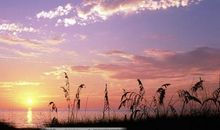 形容开心快乐的好句子