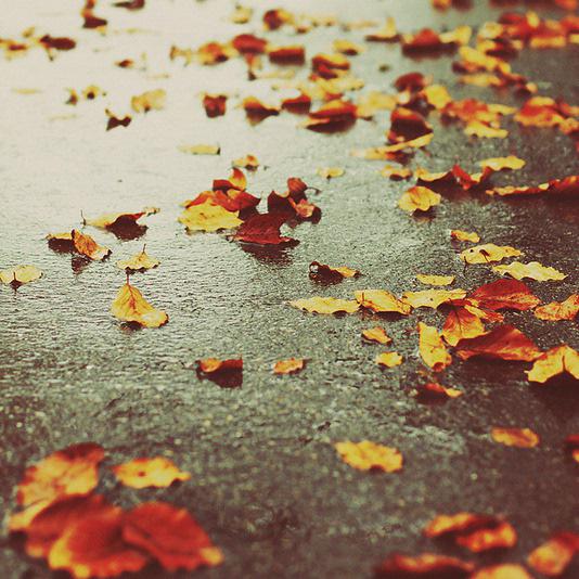 有一个人最爱阴雨天气