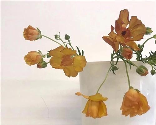 当一个人达到某个年龄时