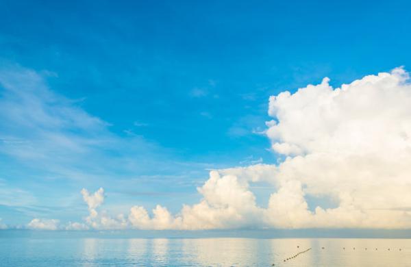 就像一个充满青春活力的年轻女孩