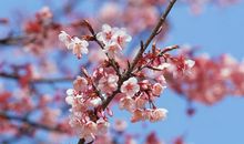 让人轻松开心的句子