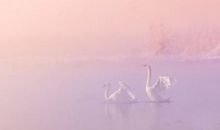 适合发朋友圈开心的短句子