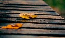 朋友圈形容心静的句子