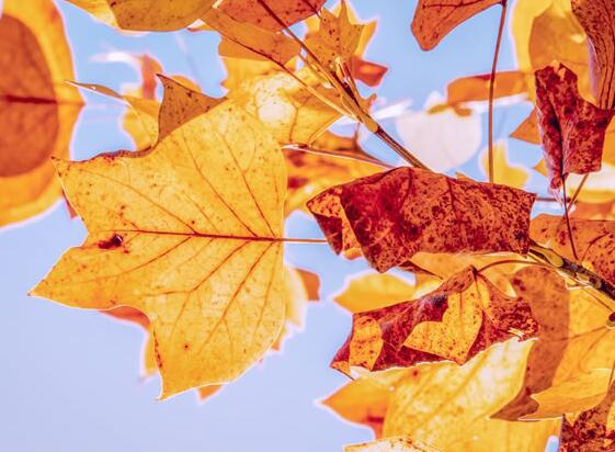 一丝温暖可以到达千里之外