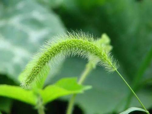 没有什么真正的坏