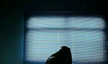 对姐妹亲情失望的句子