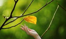 心静最美句子摘抄