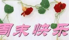 开心周末的句子