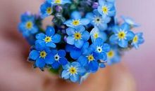 诗意说说大全唯美：谎言说给耳朵听，心却动了情