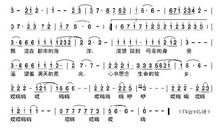 关于思念故乡的段落