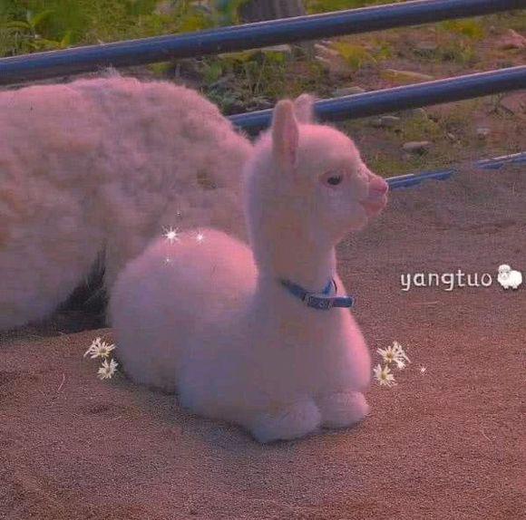 作为一个男人就像一支蜡烛