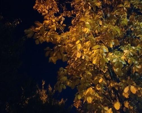 在忙碌了一天的工作之后